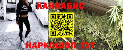 индика Кулебаки