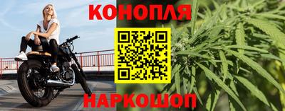 индика Кулебаки