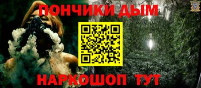 индика Кулебаки