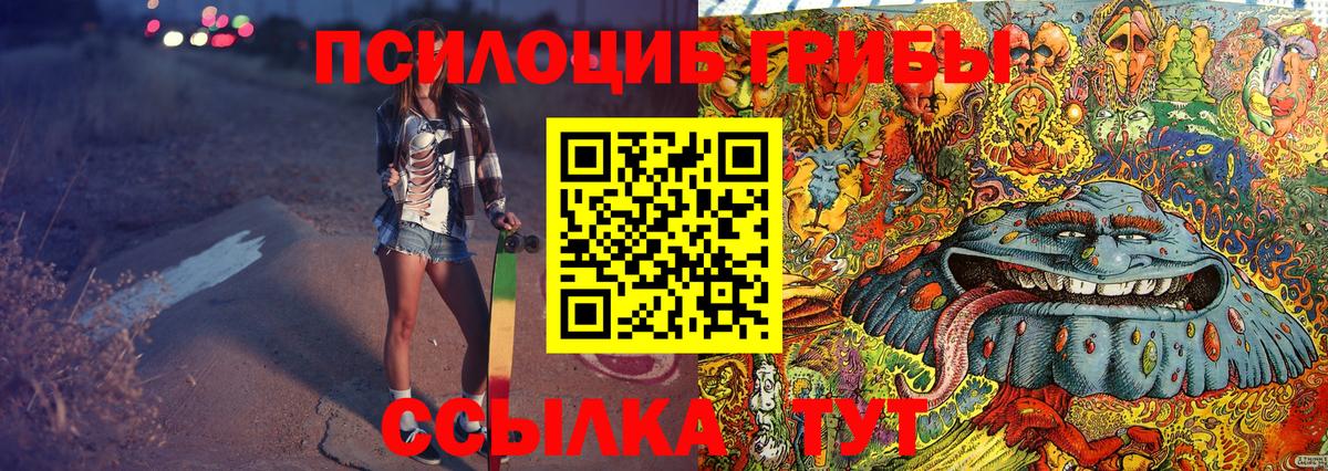 Псилоцибиновые грибы Cubensis Елец