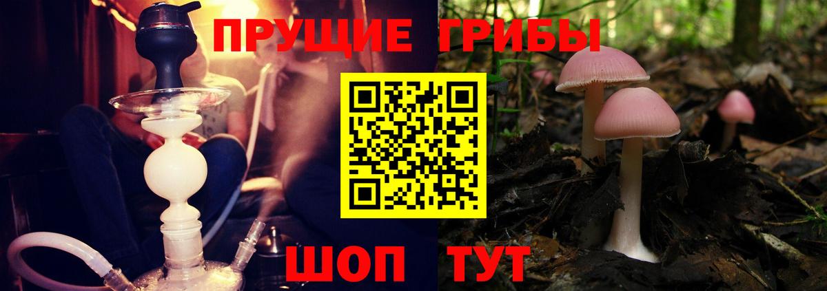Елец  Галлюциногенные грибы MAGIC MUSHROOMS  Вход с VPN 